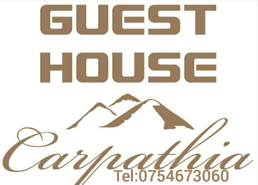 Guest House Carpathia Vişeu de Sus Exterior foto