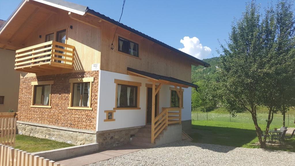 Guest House Carpathia Vişeu de Sus Exterior foto