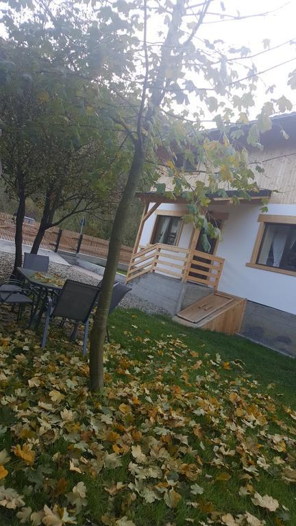 Guest House Carpathia Vişeu de Sus Exterior foto
