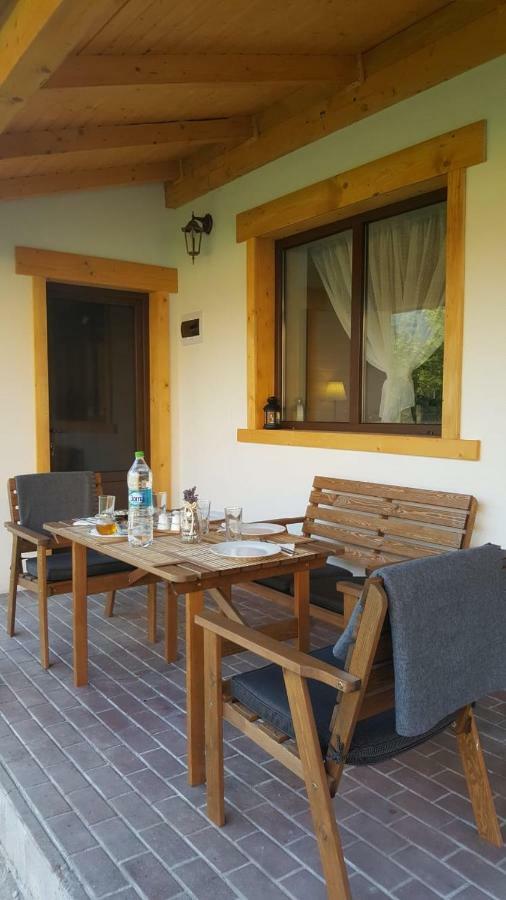 Guest House Carpathia Vişeu de Sus Exterior foto