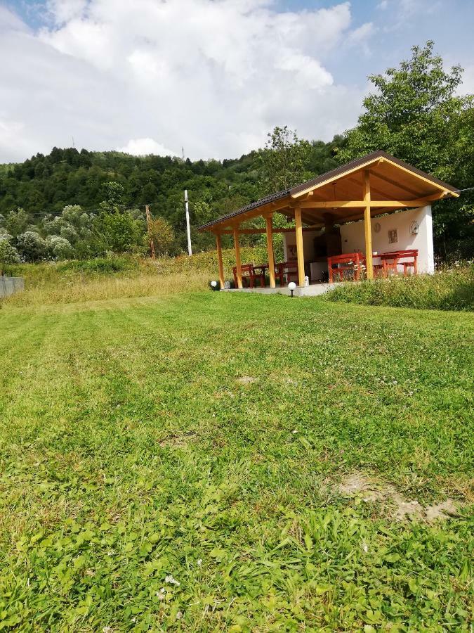 Guest House Carpathia Vişeu de Sus Exterior foto